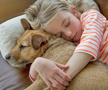 Evcil dostlarımız için dekoratif fikirler.